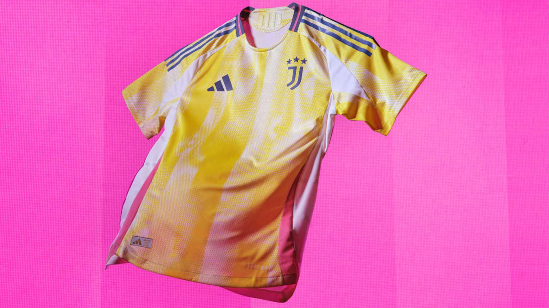 发挥赢得了 发挥赢得了